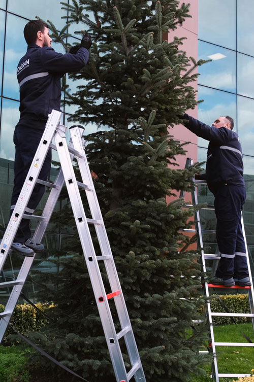 visenamenska-sklopljenar